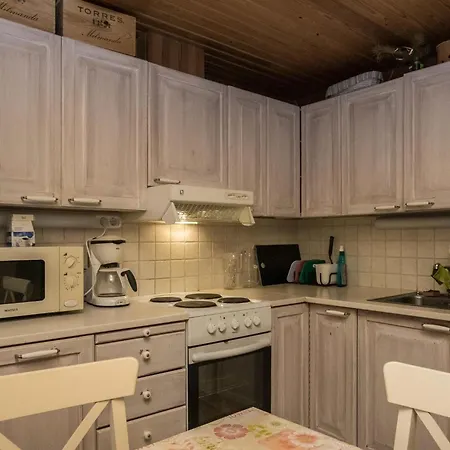 Palkinniemi By Interhome Tatil Evi Putikko