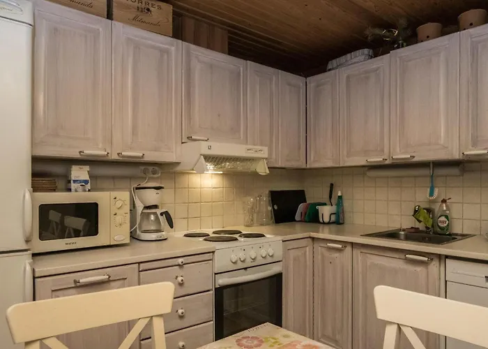 Palkinniemi By Interhome بيت للعطل Putikko